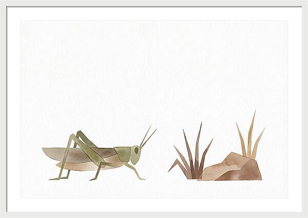 Grasshopper Amongst Nature
