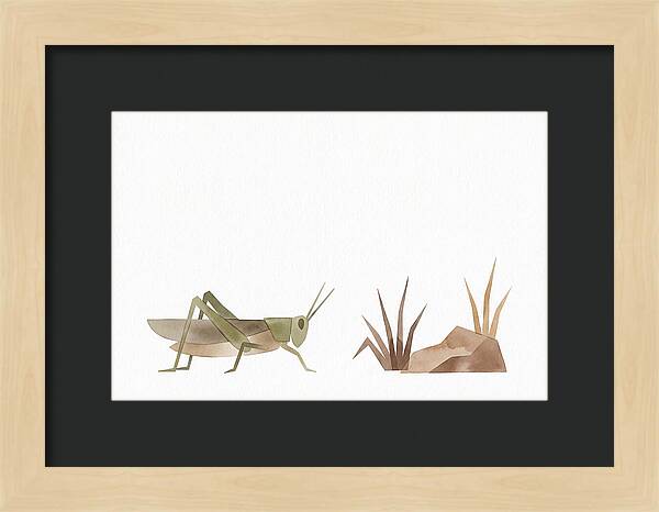Grasshopper Amongst Nature