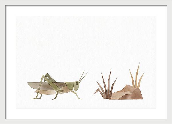 Grasshopper Amongst Nature
