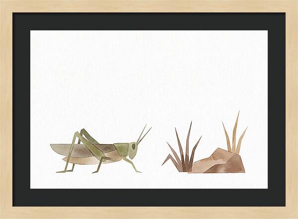 Grasshopper Amongst Nature