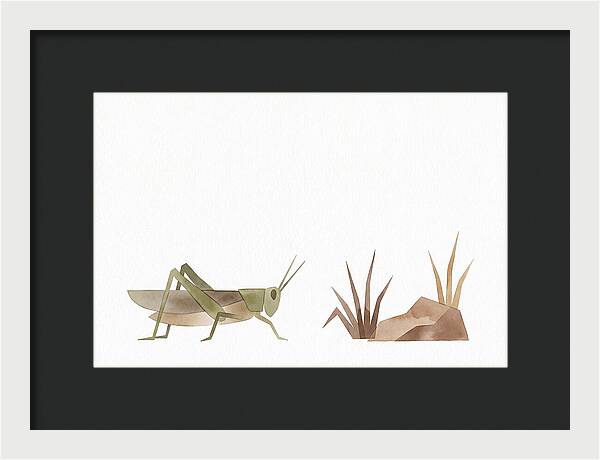 Grasshopper Amongst Nature