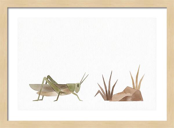 Grasshopper Amongst Nature
