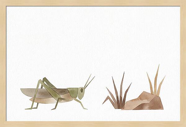 Grasshopper Amongst Nature