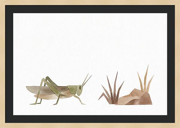 Grasshopper Amongst Nature