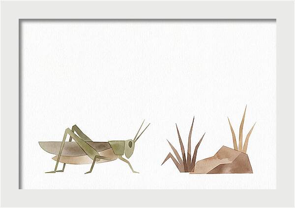 Grasshopper Amongst Nature