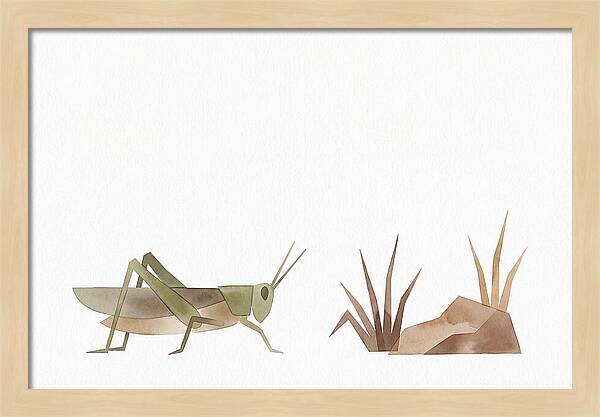 Grasshopper Amongst Nature
