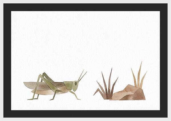 Grasshopper Amongst Nature