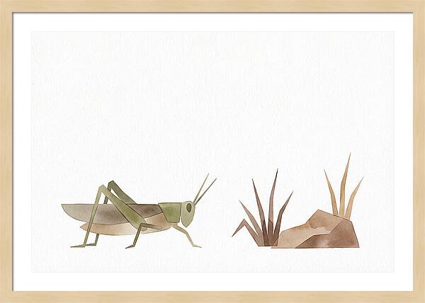 Grasshopper Amongst Nature