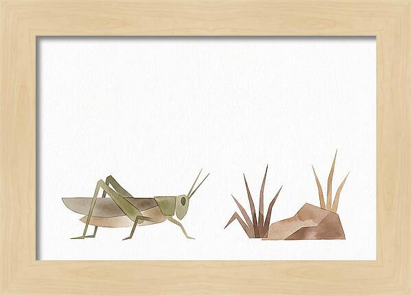 Grasshopper Amongst Nature