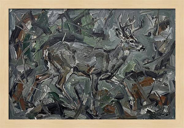 Gray Brocket In Expressionist Style