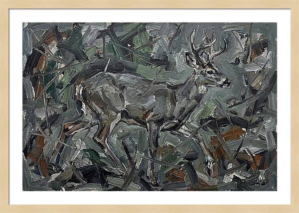 Gray Brocket In Expressionist Style