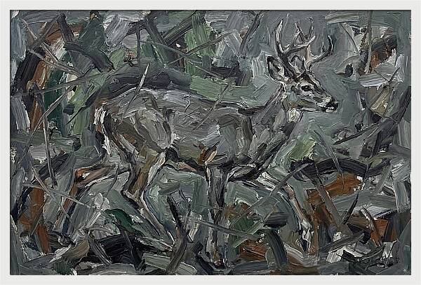 Gray Brocket In Expressionist Style