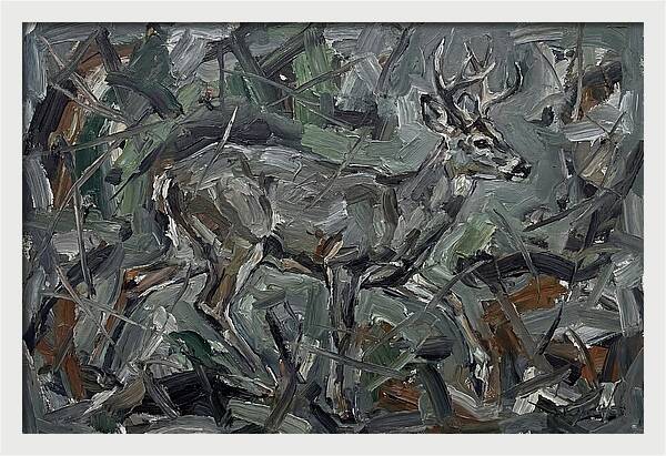 Gray Brocket In Expressionist Style