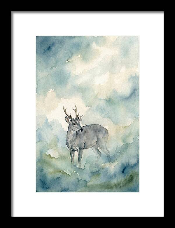 Gray Brocket In Misty Landscape