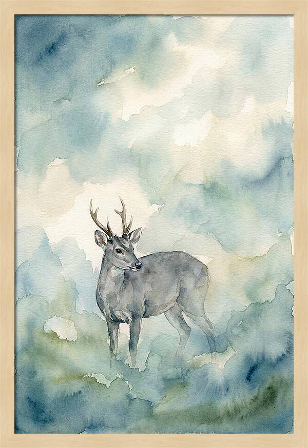 Gray Brocket In Misty Landscape