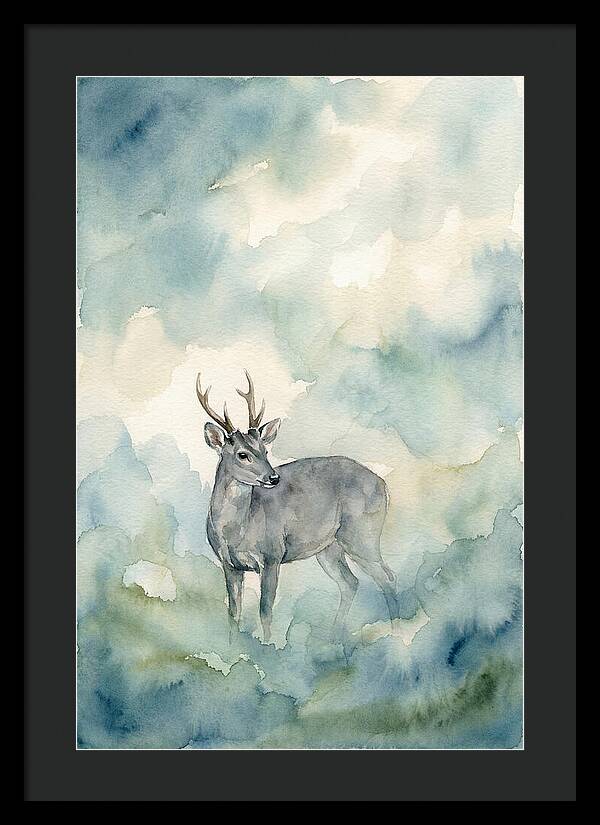 Gray Brocket In Misty Landscape