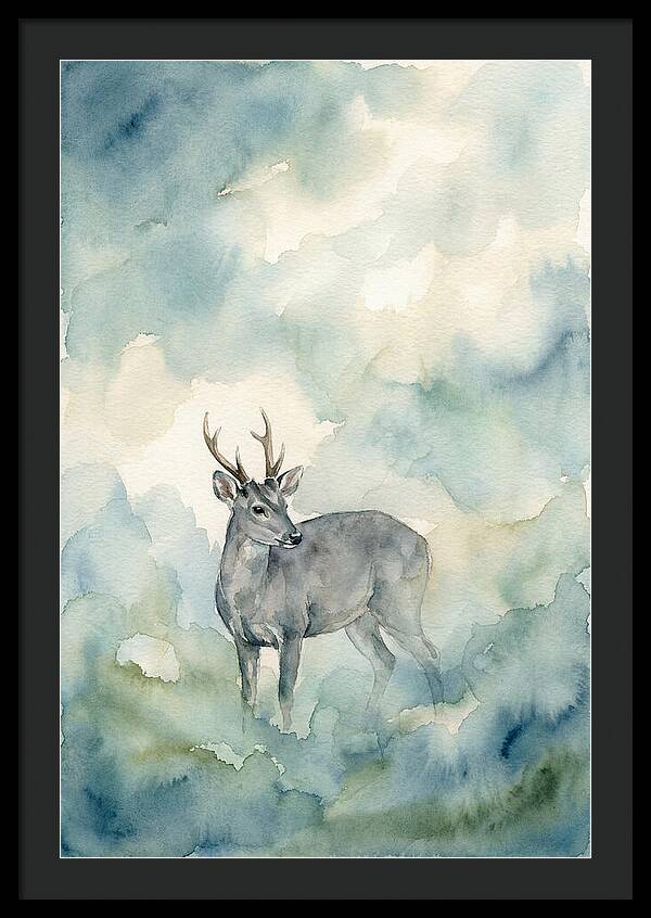 Gray Brocket In Misty Landscape