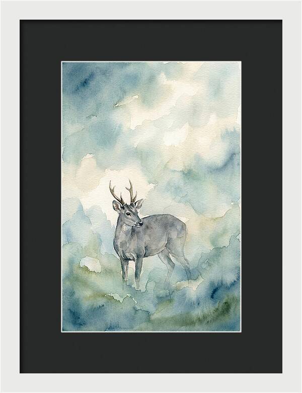 Gray Brocket In Misty Landscape