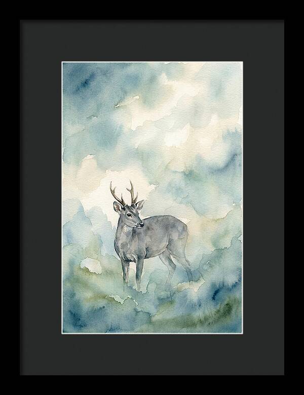 Gray Brocket In Misty Landscape