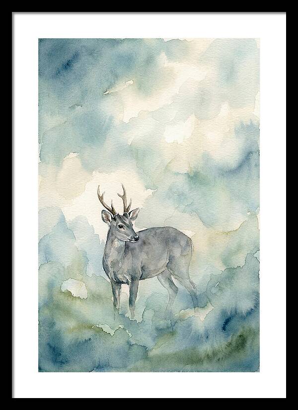 Gray Brocket In Misty Landscape
