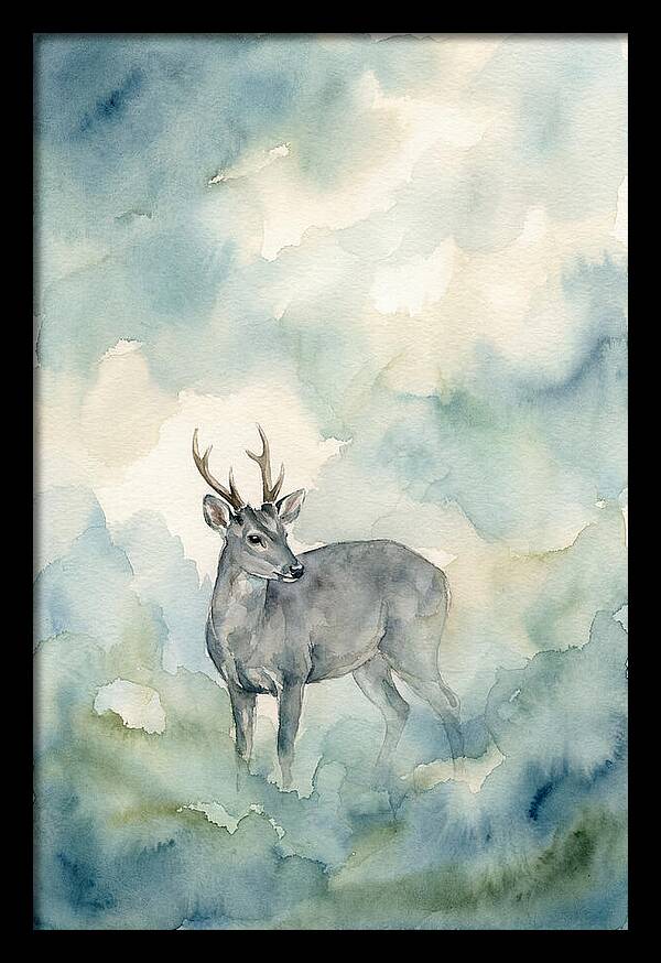 Gray Brocket In Misty Landscape