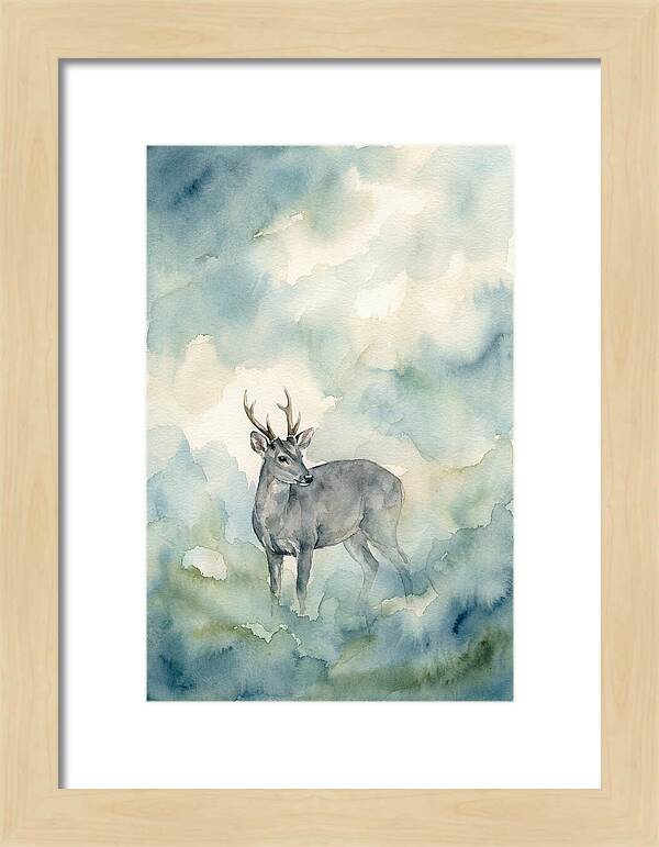 Gray Brocket In Misty Landscape