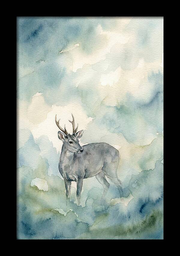 Gray Brocket In Misty Landscape