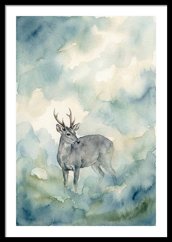 Gray Brocket In Misty Landscape