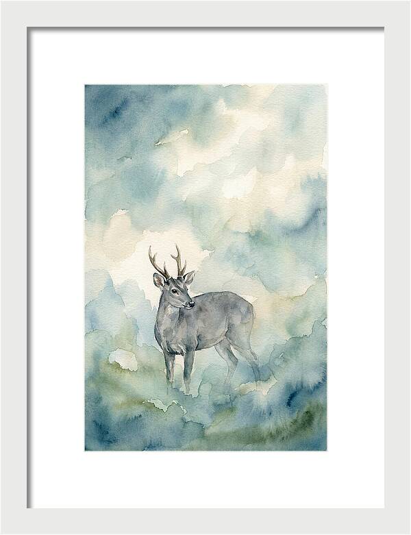Gray Brocket In Misty Landscape