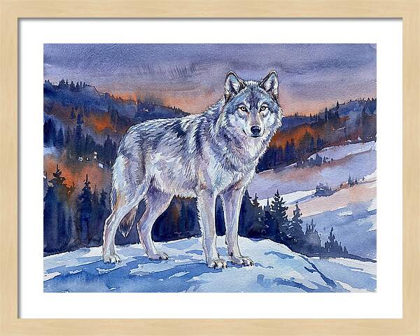 Gray Wolf In Majestic Landscape