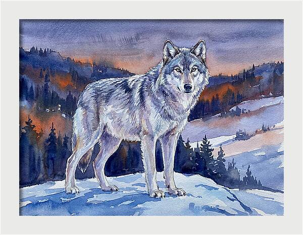 Gray Wolf In Majestic Landscape