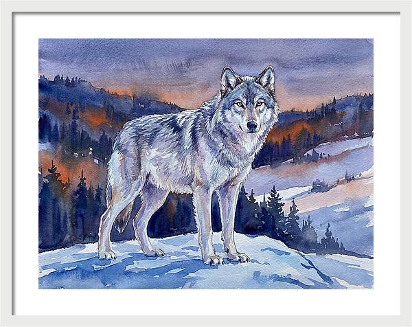 Gray Wolf In Majestic Landscape