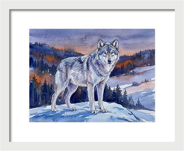 Gray Wolf In Majestic Landscape