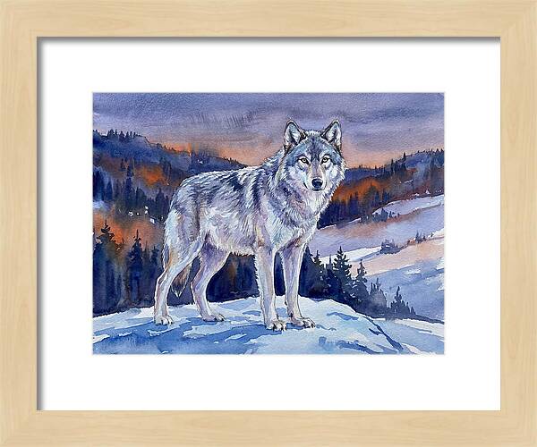 Gray Wolf In Majestic Landscape