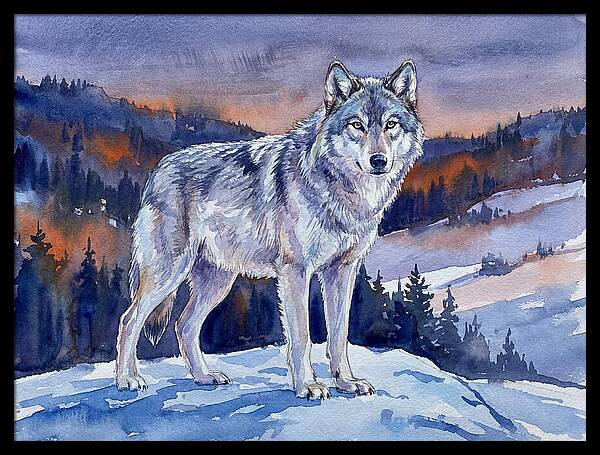 Gray Wolf In Majestic Landscape