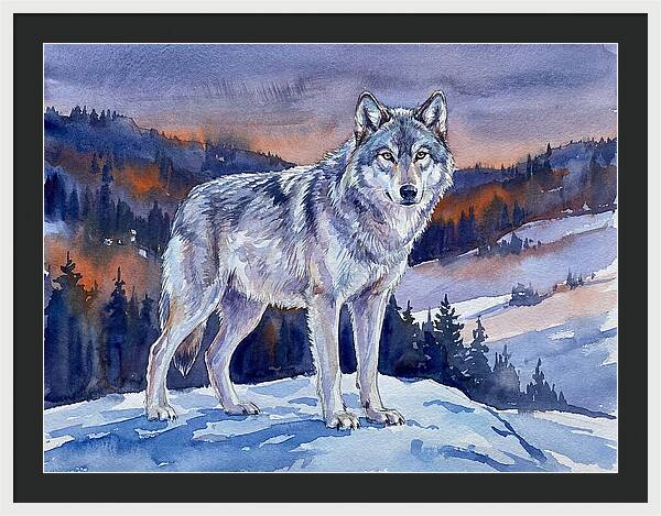 Gray Wolf In Majestic Landscape