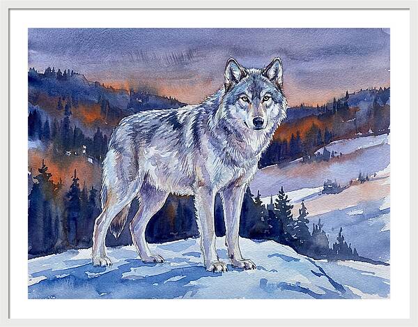 Gray Wolf In Majestic Landscape