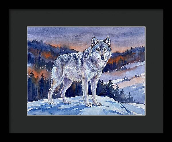 Gray Wolf In Majestic Landscape