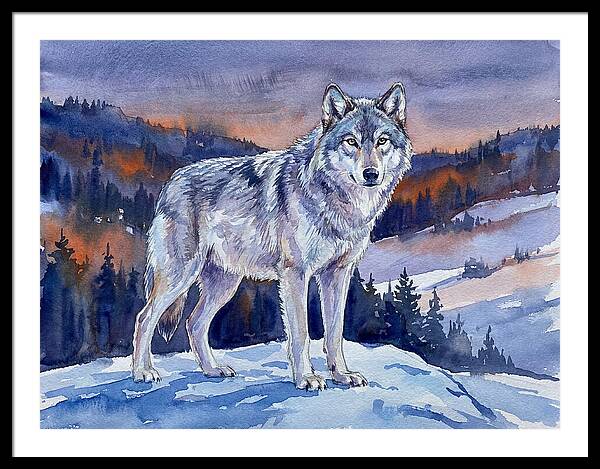 Gray Wolf In Majestic Landscape