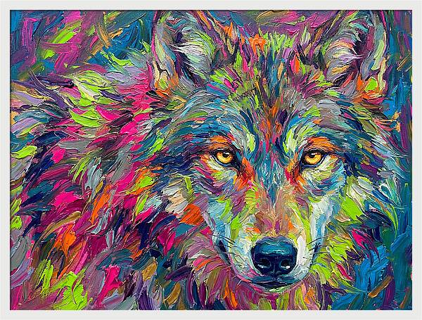 Gray Wolf In Vibrant Colors