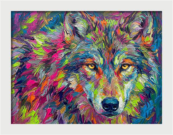 Gray Wolf In Vibrant Colors