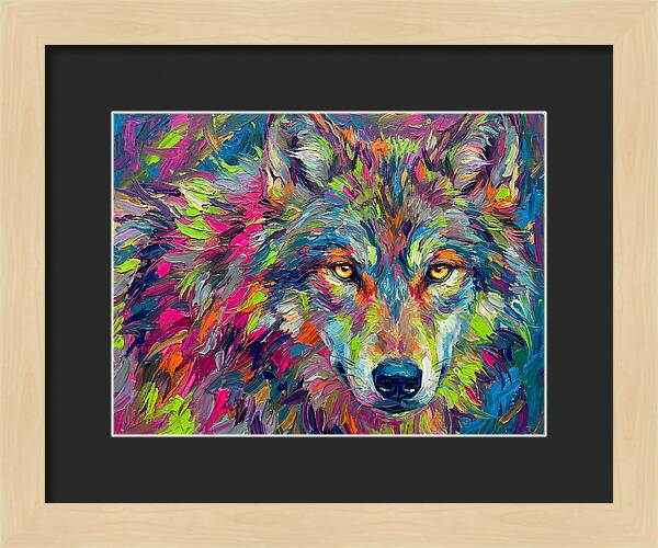 Gray Wolf In Vibrant Colors
