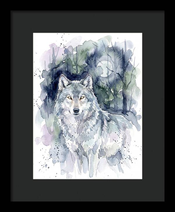 Gray Wolf In Watercolor