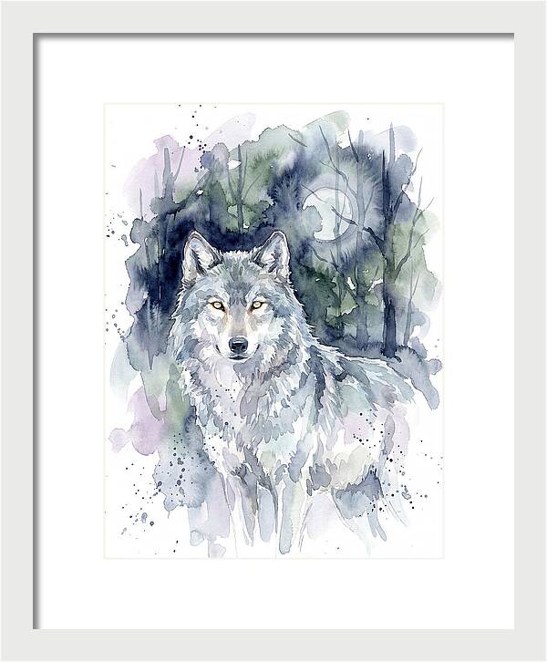 Gray Wolf In Watercolor