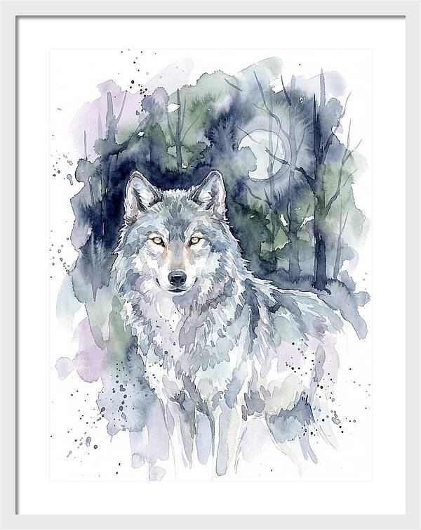 Gray Wolf In Watercolor