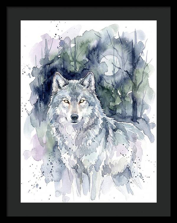 Gray Wolf In Watercolor