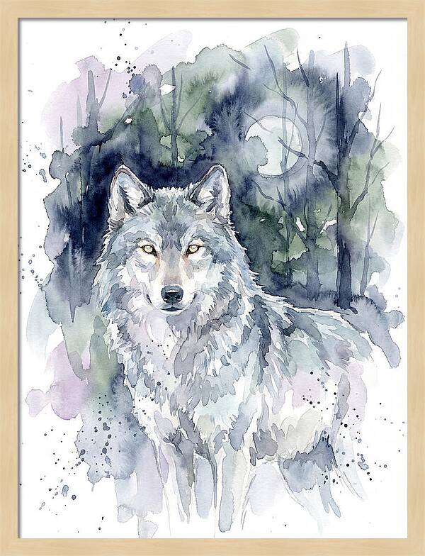 Gray Wolf In Watercolor