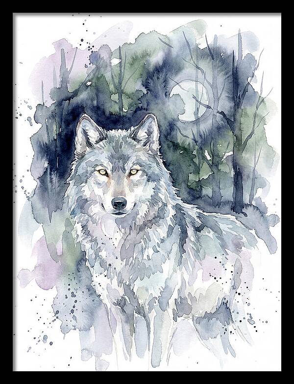 Gray Wolf In Watercolor