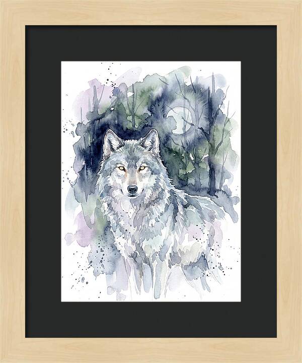 Gray Wolf In Watercolor