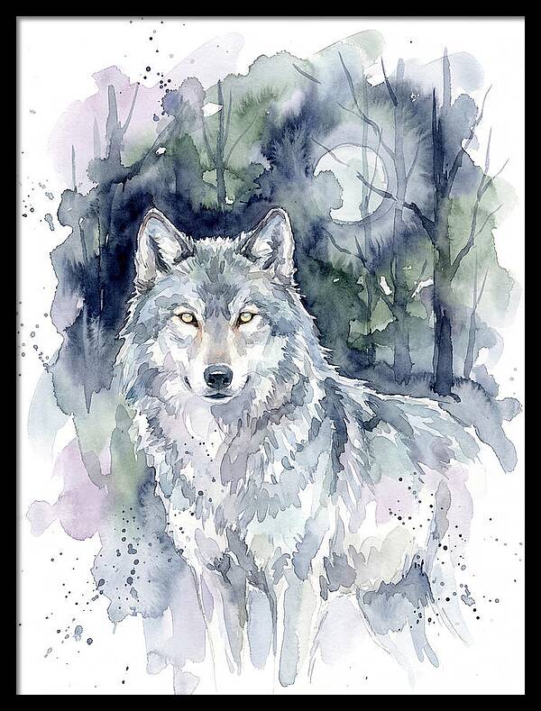Gray Wolf In Watercolor
